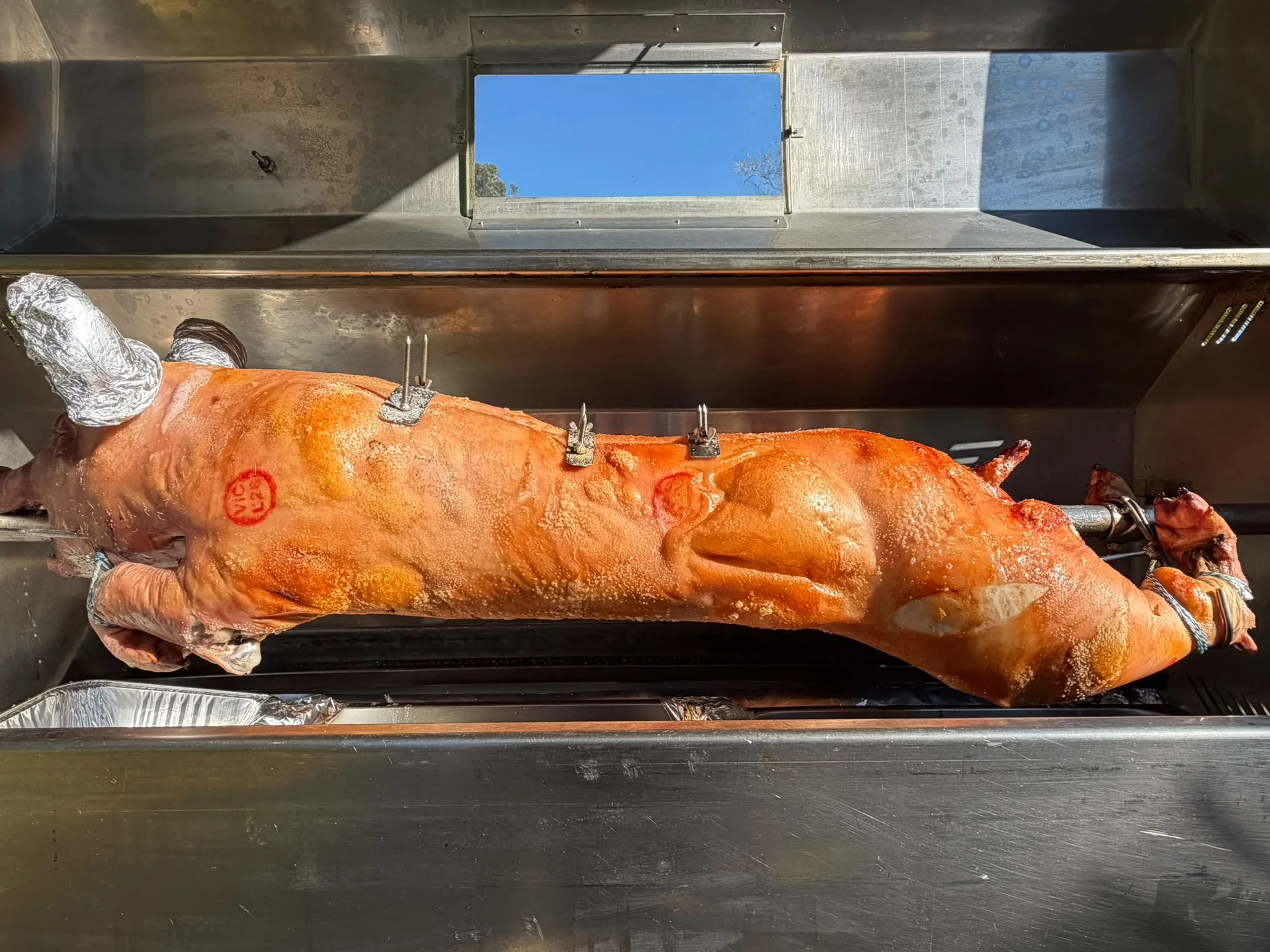 Whole pig roasting on a spit in a metal oven.