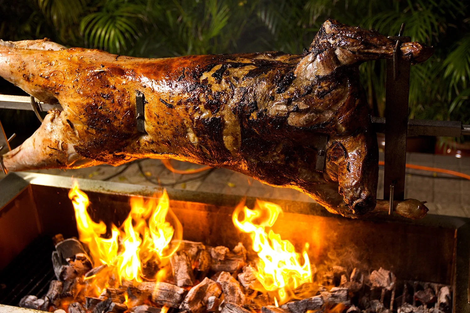 Whole lamb roasting on a spit over open flames.